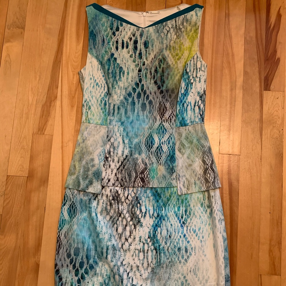 Elie Tahari Luxury Dress from Ogilvy’s